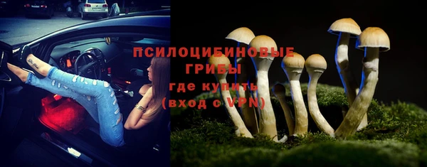 шишки Навашино