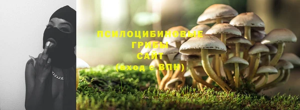 дмт Надым