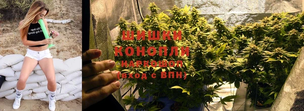 ГАЛЛЮЦИНОГЕННЫЕ ГРИБЫ Наволоки