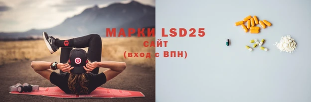 ГАЛЛЮЦИНОГЕННЫЕ ГРИБЫ Наволоки