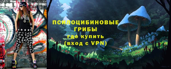 шишки Навашино