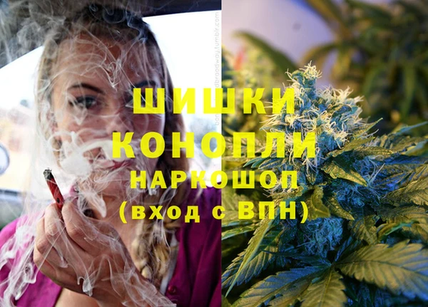 дмт Надым