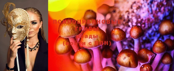 дмт Надым